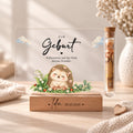 Geldgeschenk zur Geburt als Acryl-Aufsteller im Igel-Design: Igel zwischen Blättern und Walderdbeeren, Röhrchen mit Geldschein
