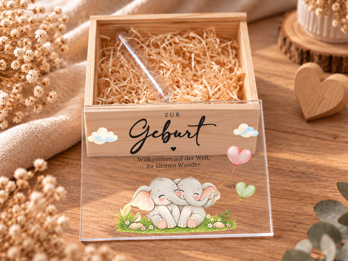 Geöffnete Holzkiste mit Holzwolle und Reagenzglas, Deckel im Zwillings-Design davor